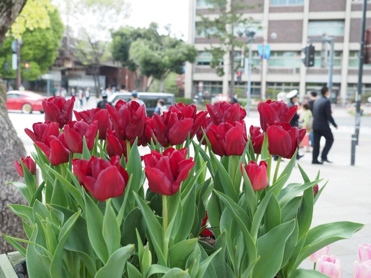 Guesthouse La Cava Women'S Single Room / Vacation Stay 21865 โยโกฮาม่า ภายนอก รูปภาพ